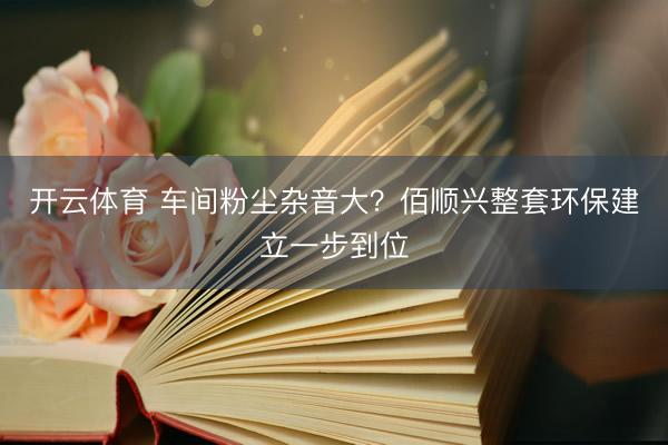 开云体育 车间粉尘杂音大？佰顺兴整套环保建立一步到位