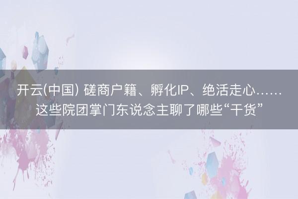 开云(中国) 磋商户籍、孵化IP、绝活走心……这些院团掌门东说念主聊了哪些“干货”