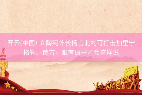 开云(中国) 立陶宛外长扬言北约可打击加里宁格勒，俄方：唯有疯子才会这样说