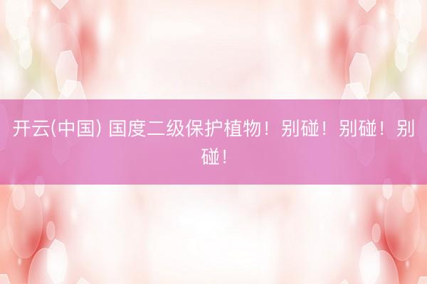 开云(中国) 国度二级保护植物!别碰!别碰!别碰!