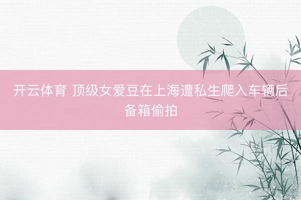 开云体育 顶级女爱豆在上海遭私生爬入车辆后备箱偷拍