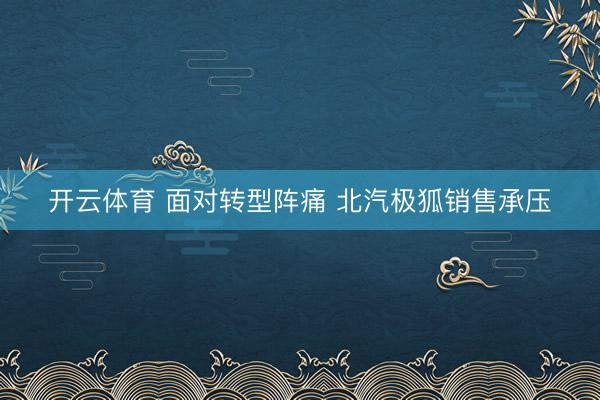 开云体育 面对转型阵痛 北汽极狐销售承压