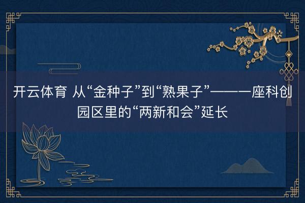 开云体育 从“金种子”到“熟果子”——一座科创园区里的“两新和会”延长