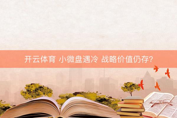 开云体育 小微盘遇冷 战略价值仍存？